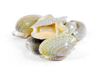 Yellow clam